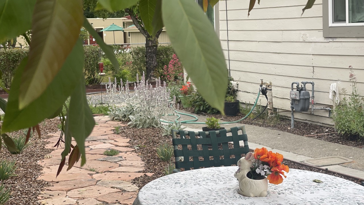 Photo of Outdoor in Graton