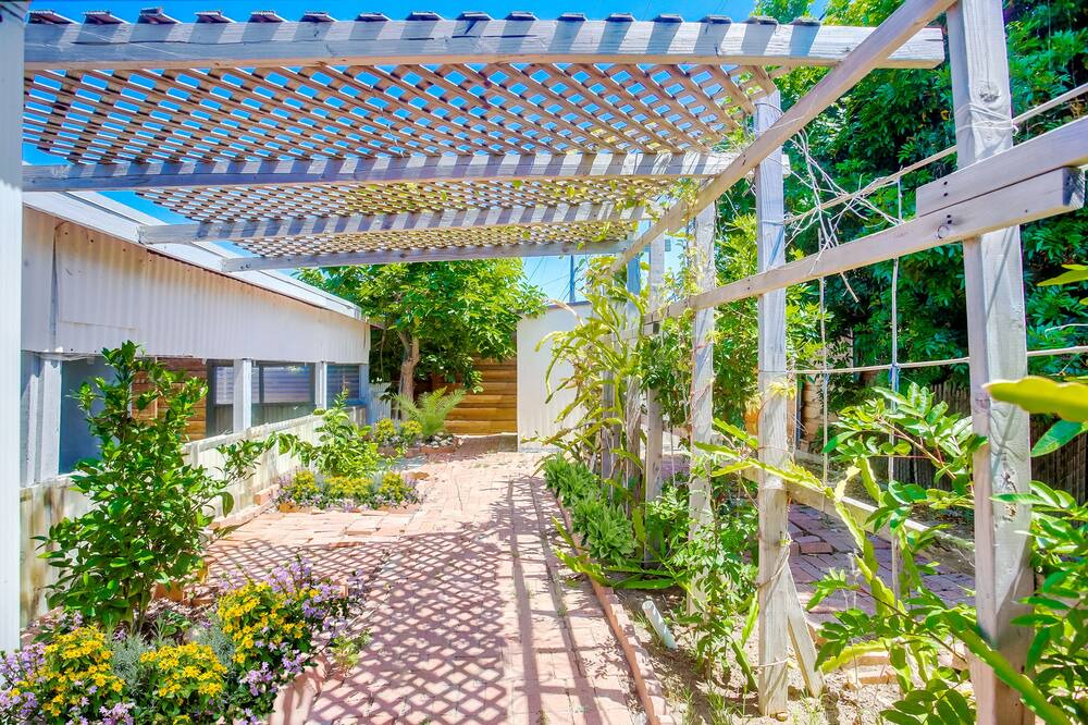 Photo of Outdoor in Clairemont