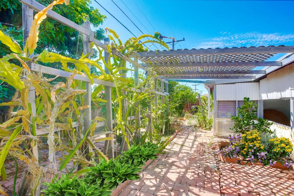 Photo of Outdoor in Clairemont