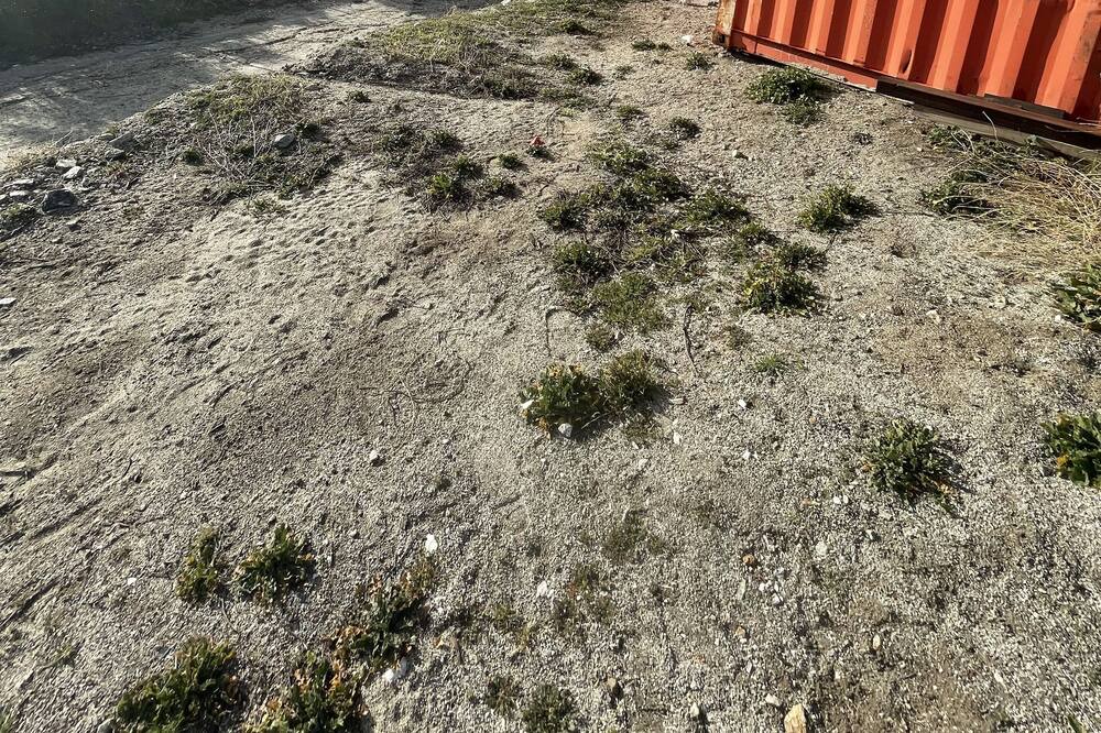 Photo of Others in Frazier Park