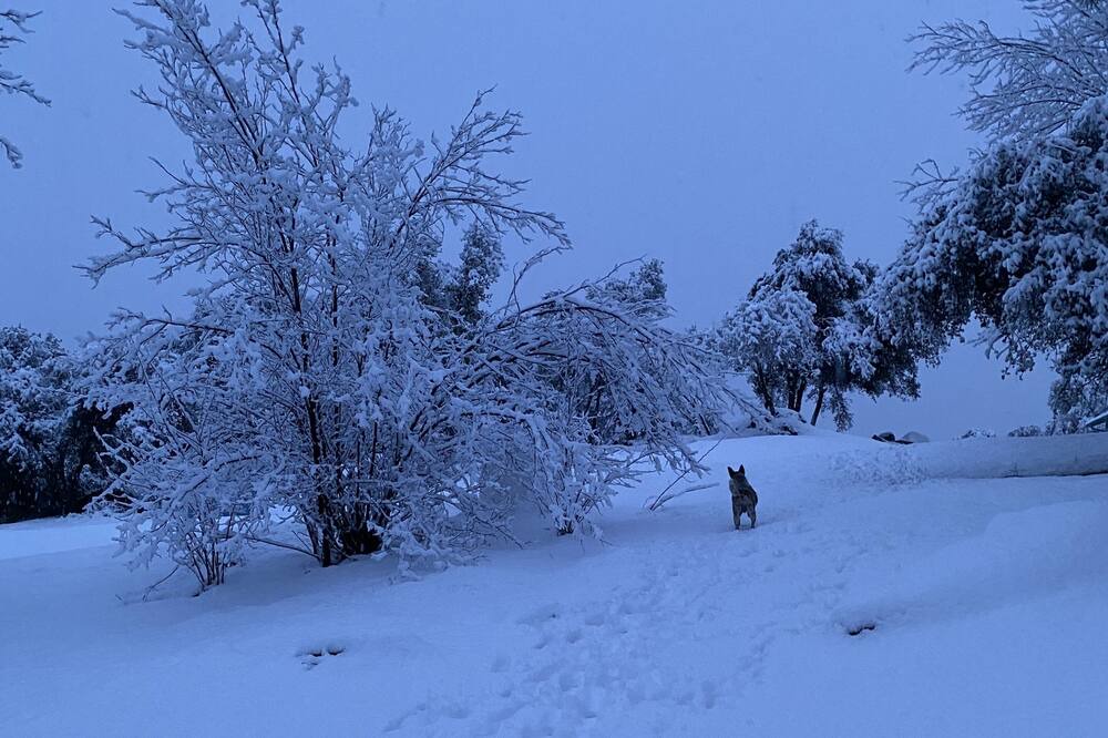 Photo of Outdoor in Oakhurst