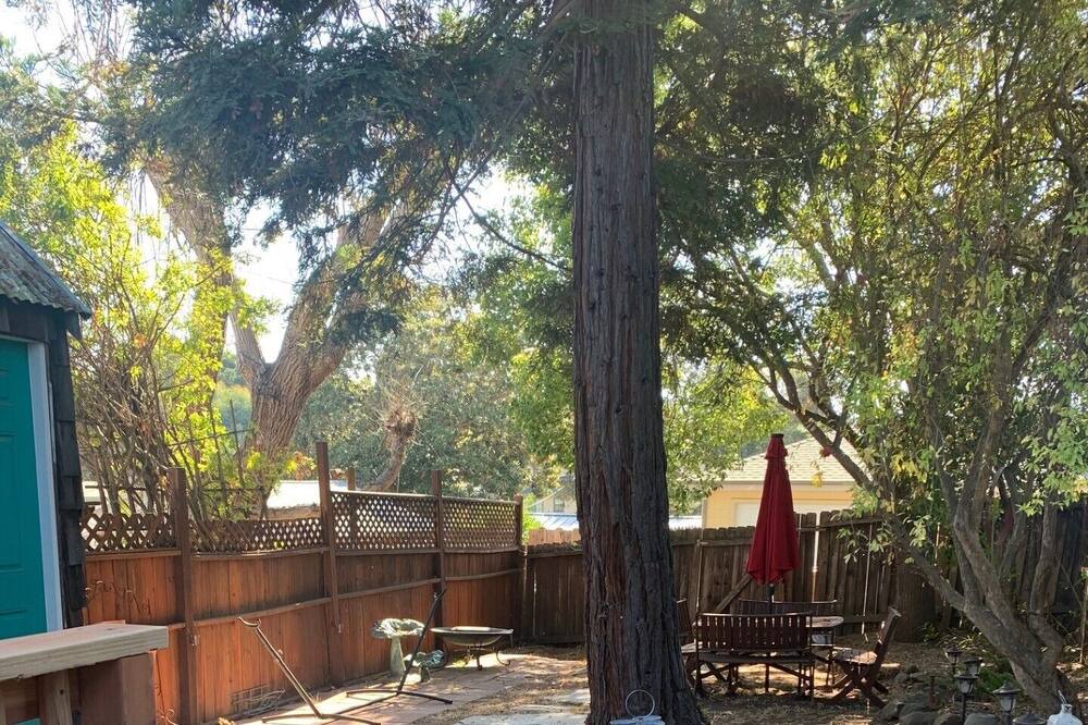 Photo of Outdoor in Benicia