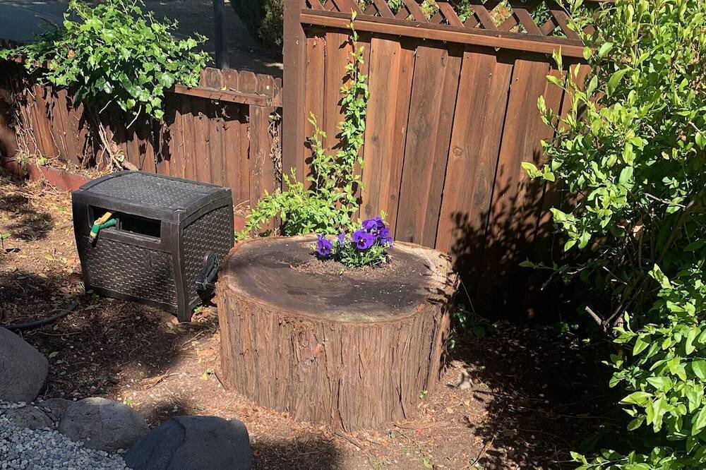 Photo of Outdoor in Benicia