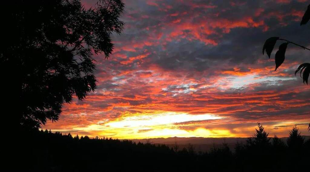 Photo of Outdoor in Hillsboro