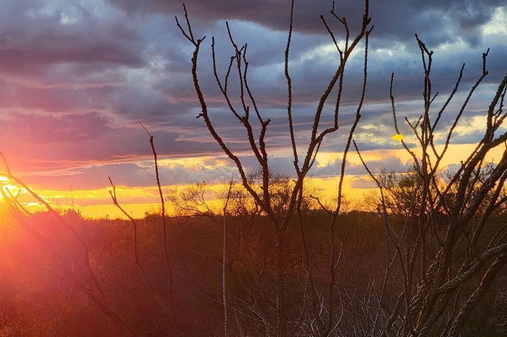 Photo of Others in Wickenburg