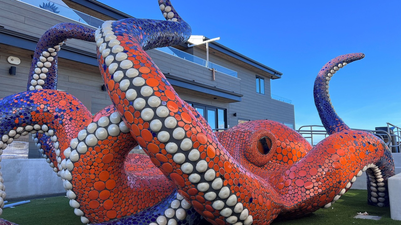 Photo of Outdoor in Morro Bay