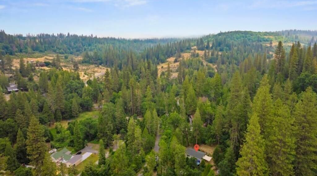 Photo of Outdoor in Twain Harte