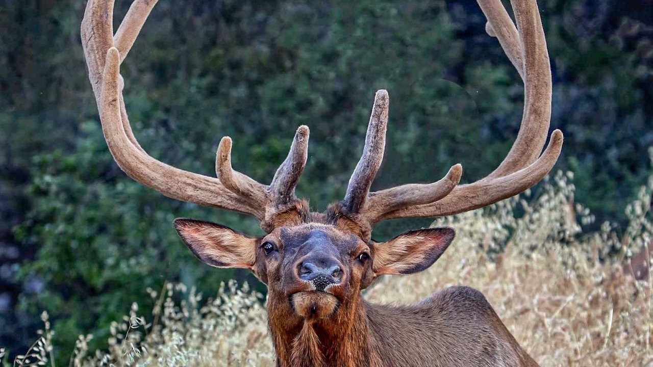 Photo of Others in Payson