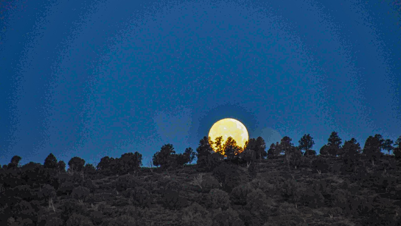 Photo of Others in Payson