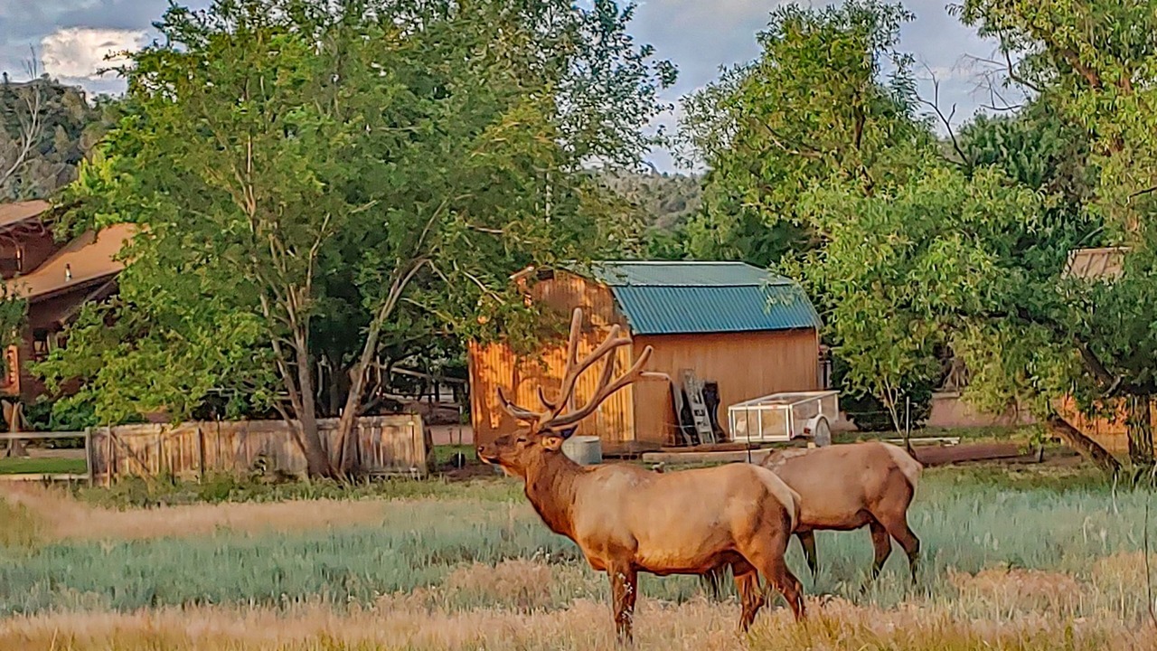 Photo of Others in Payson