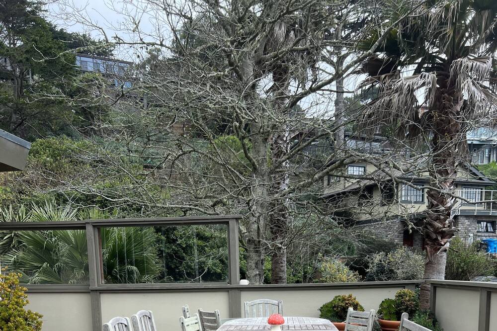 Photo of Outdoor in Muir Beach