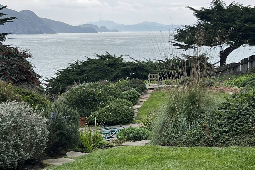 Photo of Others in Muir Beach