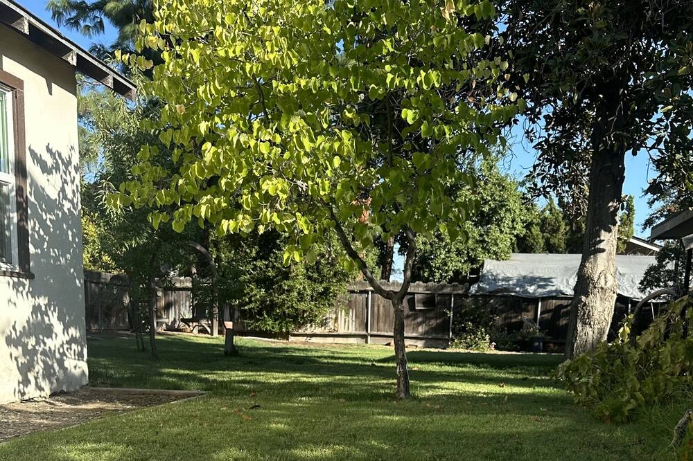 Photo of Outdoor in Raisin