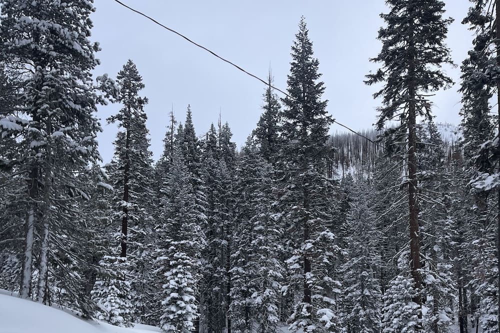 Photo of Others in Echo Lake