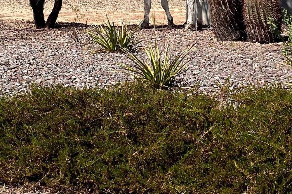 Photo of Outdoor in Rio Vista