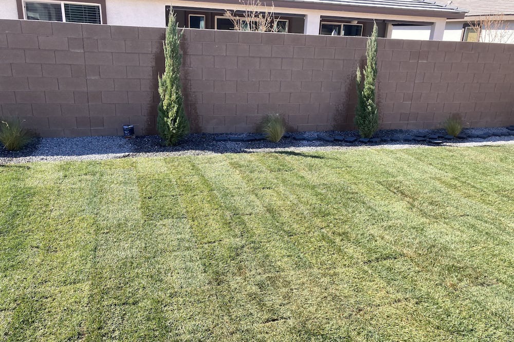 Photo of Outdoor in Pahrump