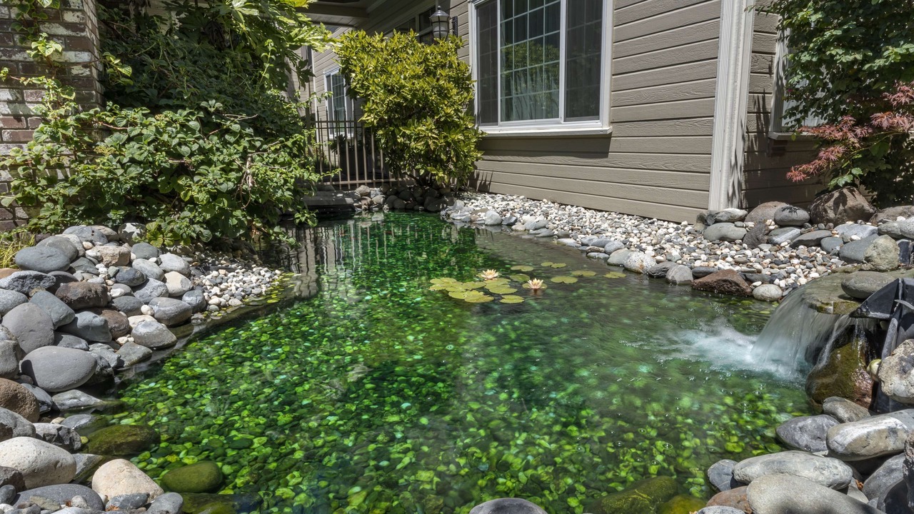 Photo of Outdoor in Ukiah