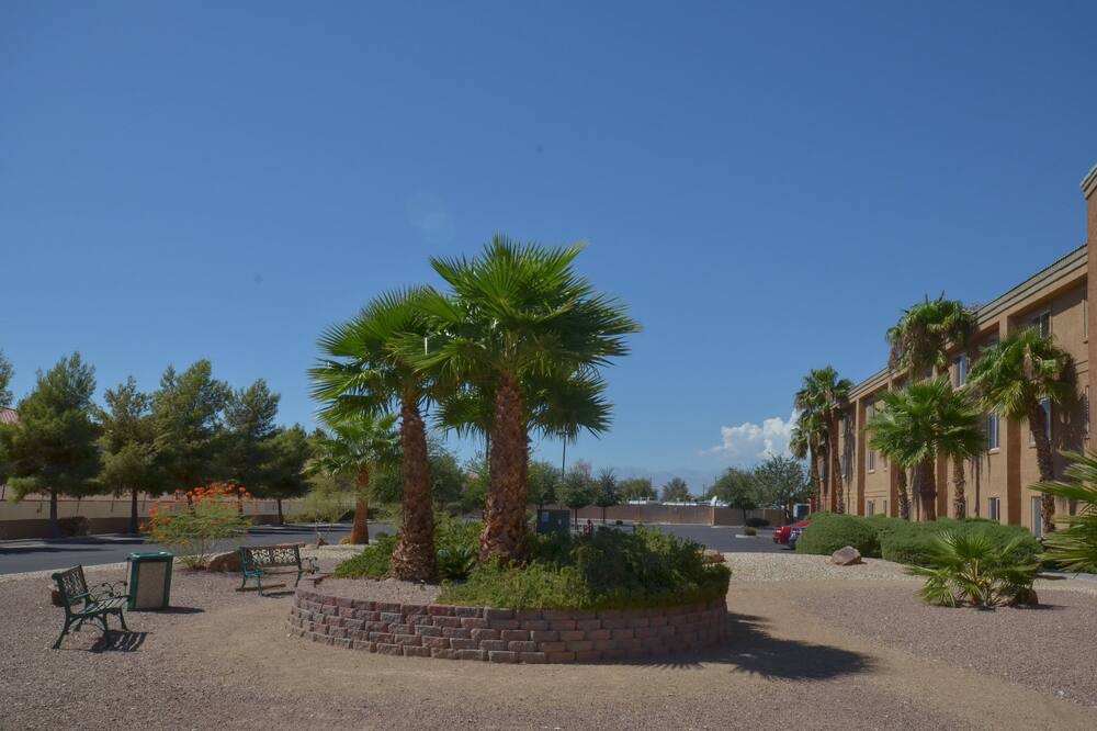 Photo of Outdoor in Sunrise Manor