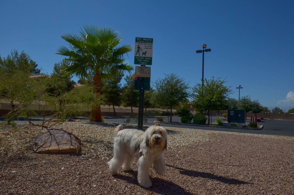 Photo of Outdoor in Sunrise Manor