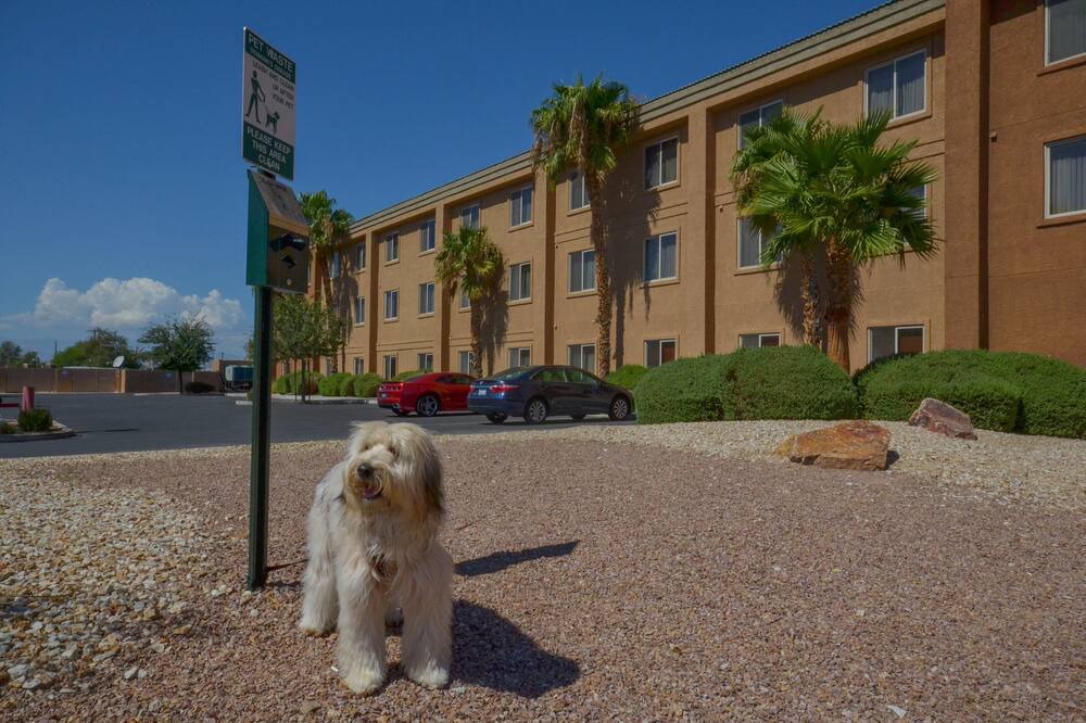 Photo of Outdoor in Sunrise Manor