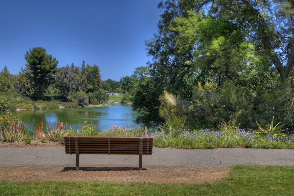 Photo of Outdoor in Davis