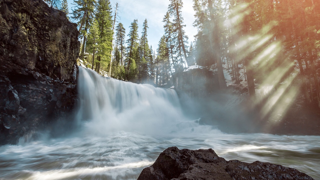 Photo of Others in Dunsmuir