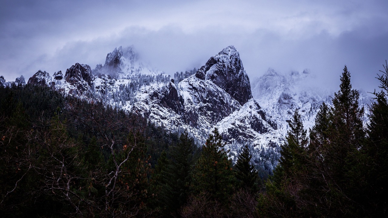 Photo of Others in Dunsmuir