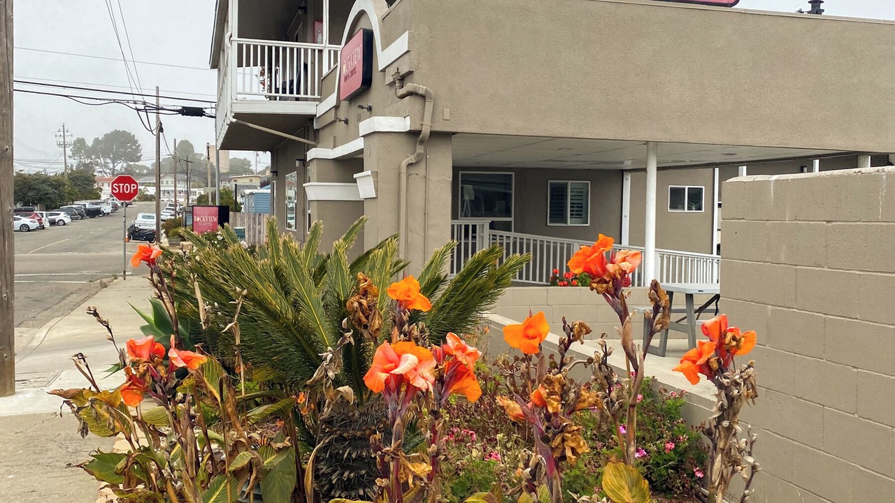 Photo of Outdoor in Morro Bay