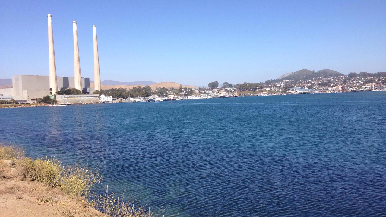 Photo of Outdoor in Morro Bay