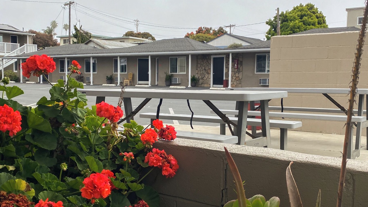 Photo of Outdoor in Morro Bay