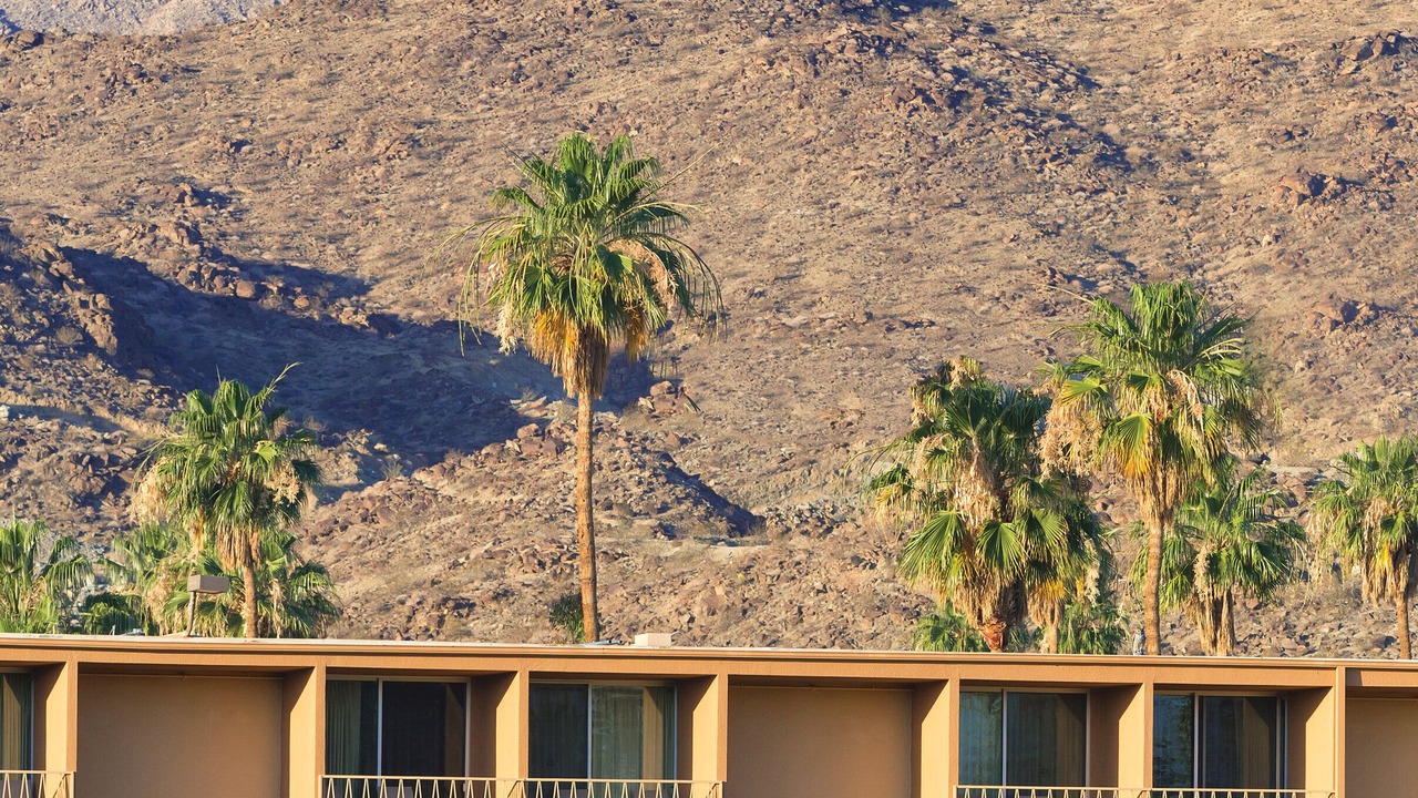 Photo of Others in Palm Springs