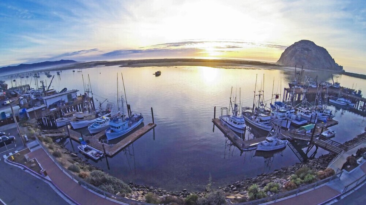 Photo of Others in Morro Bay