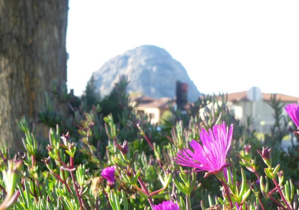 Photo of Outdoor in Morro Bay
