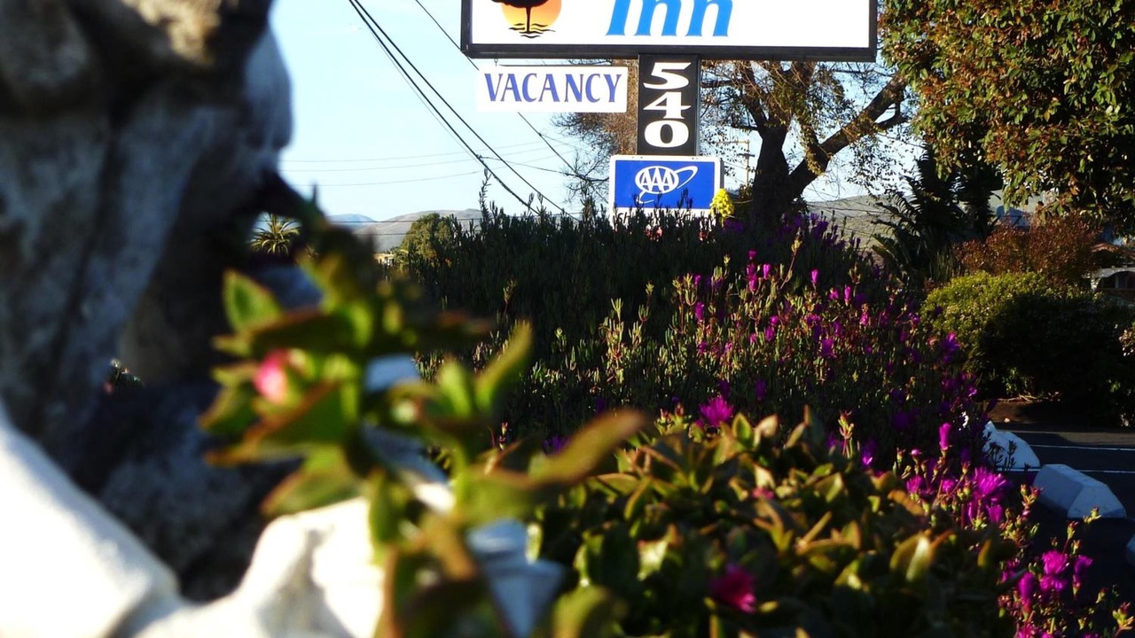 Photo of Outdoor in Morro Bay