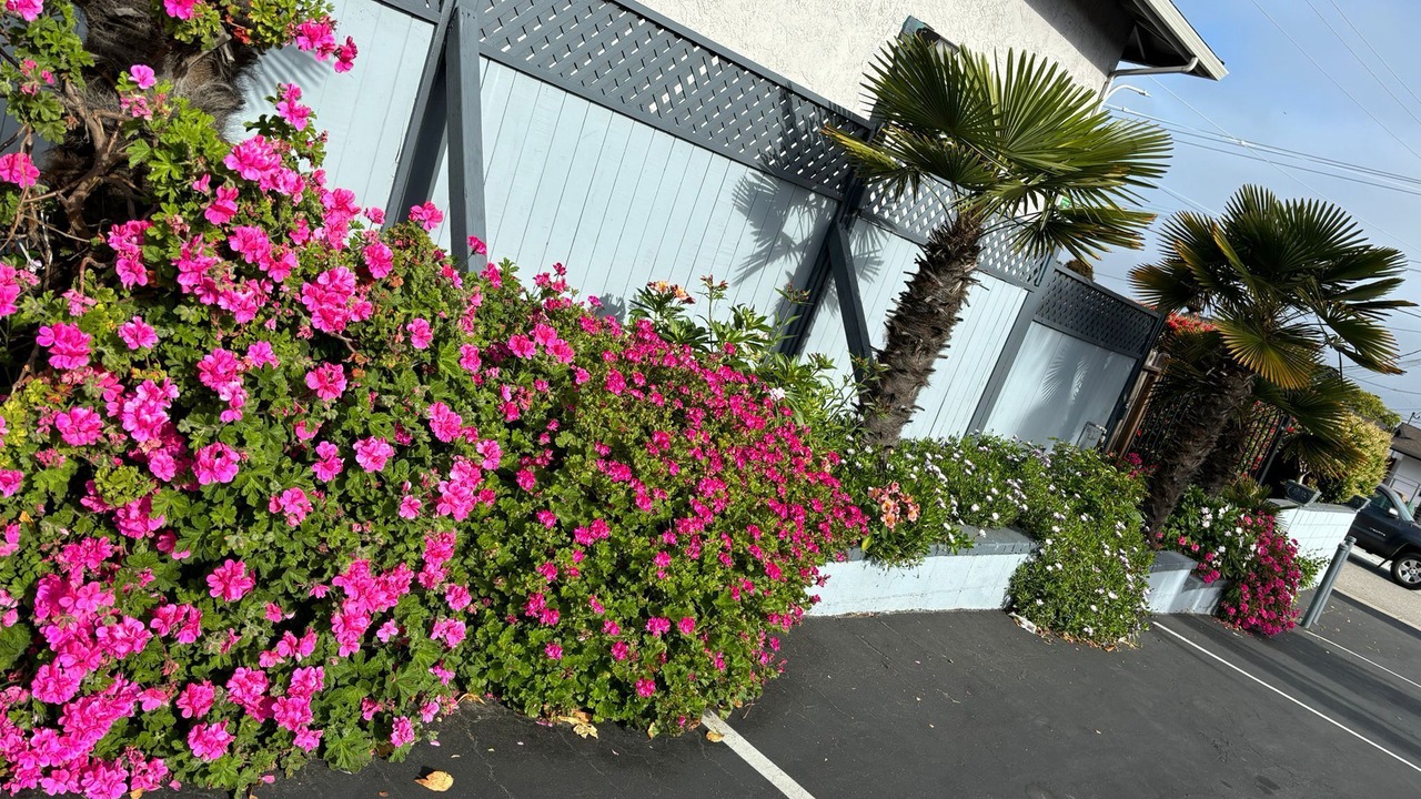 Photo of Outdoor in North Fremont Street