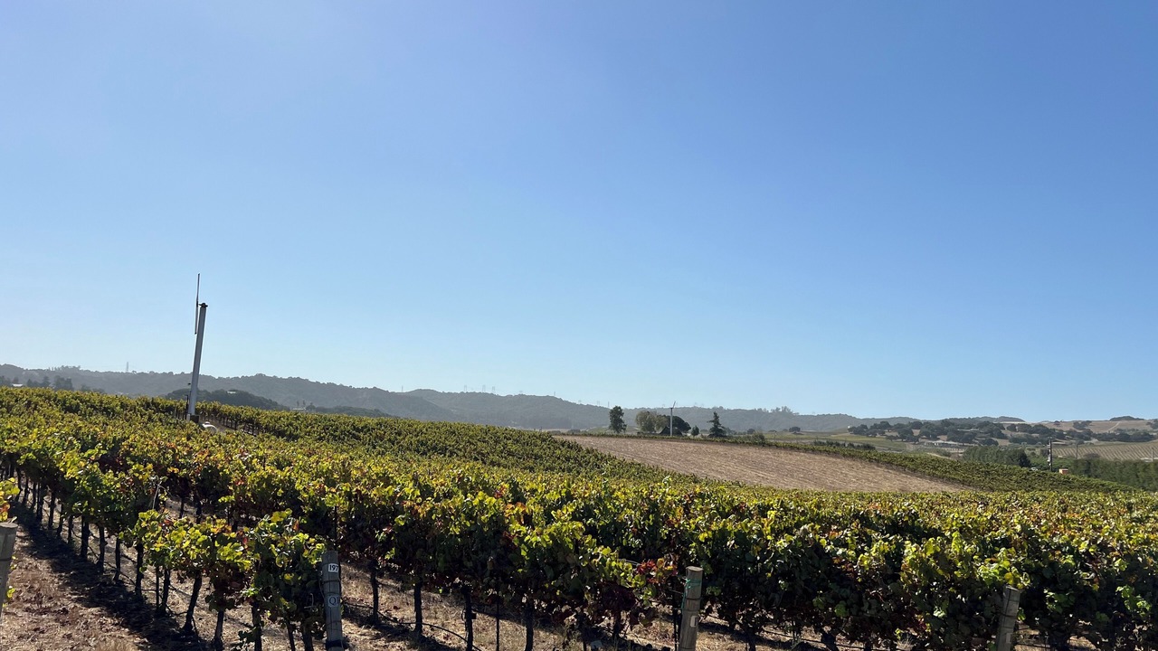 Photo of Others in San Luis Obispo