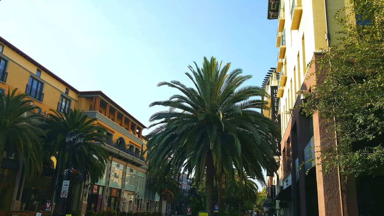Photo of Outdoor in The Villas