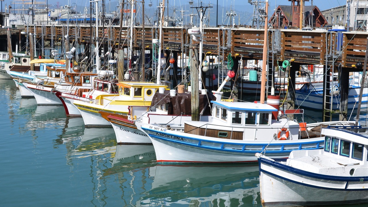 Photo of Others in Fisherman's Wharf