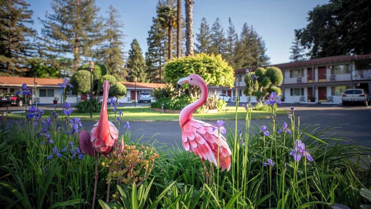 Photo of Outdoor in Palo Alto