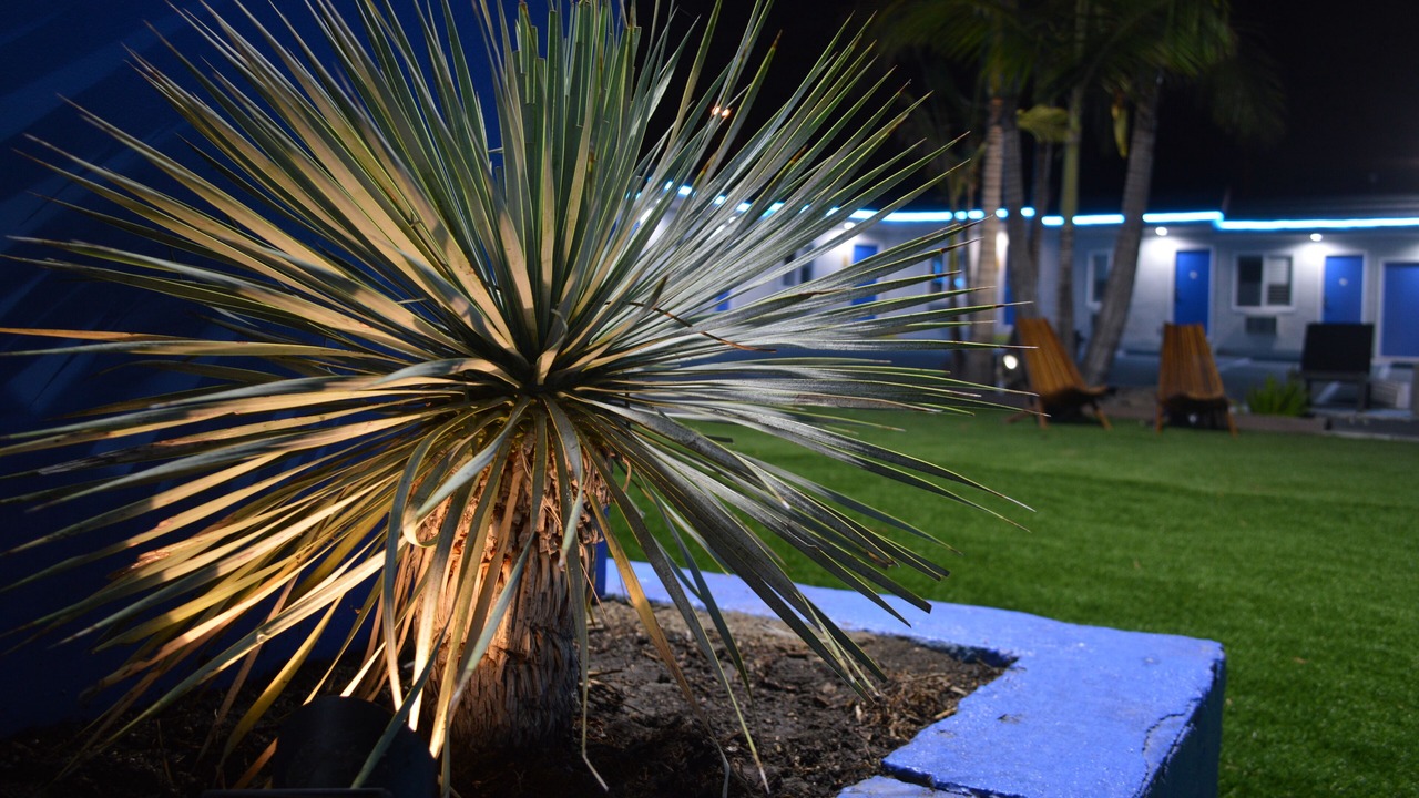 Photo of Outdoor in San Clemente