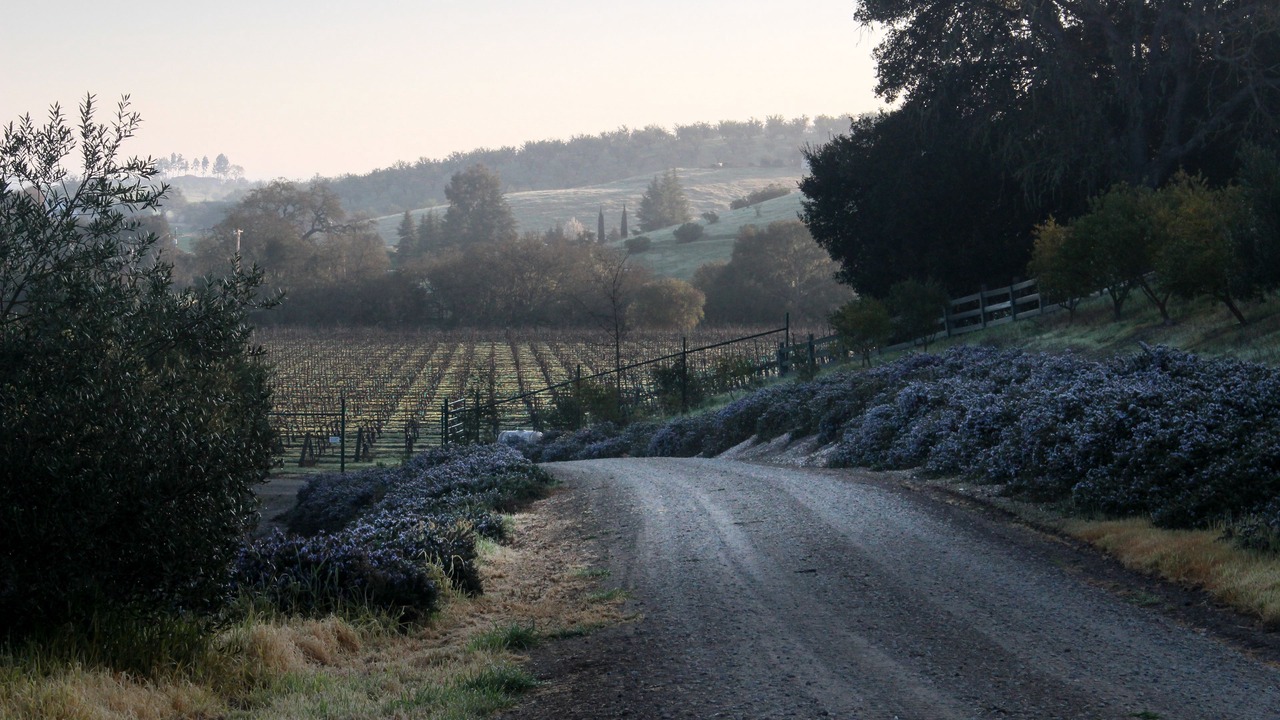 Photo of Outdoor in Templeton