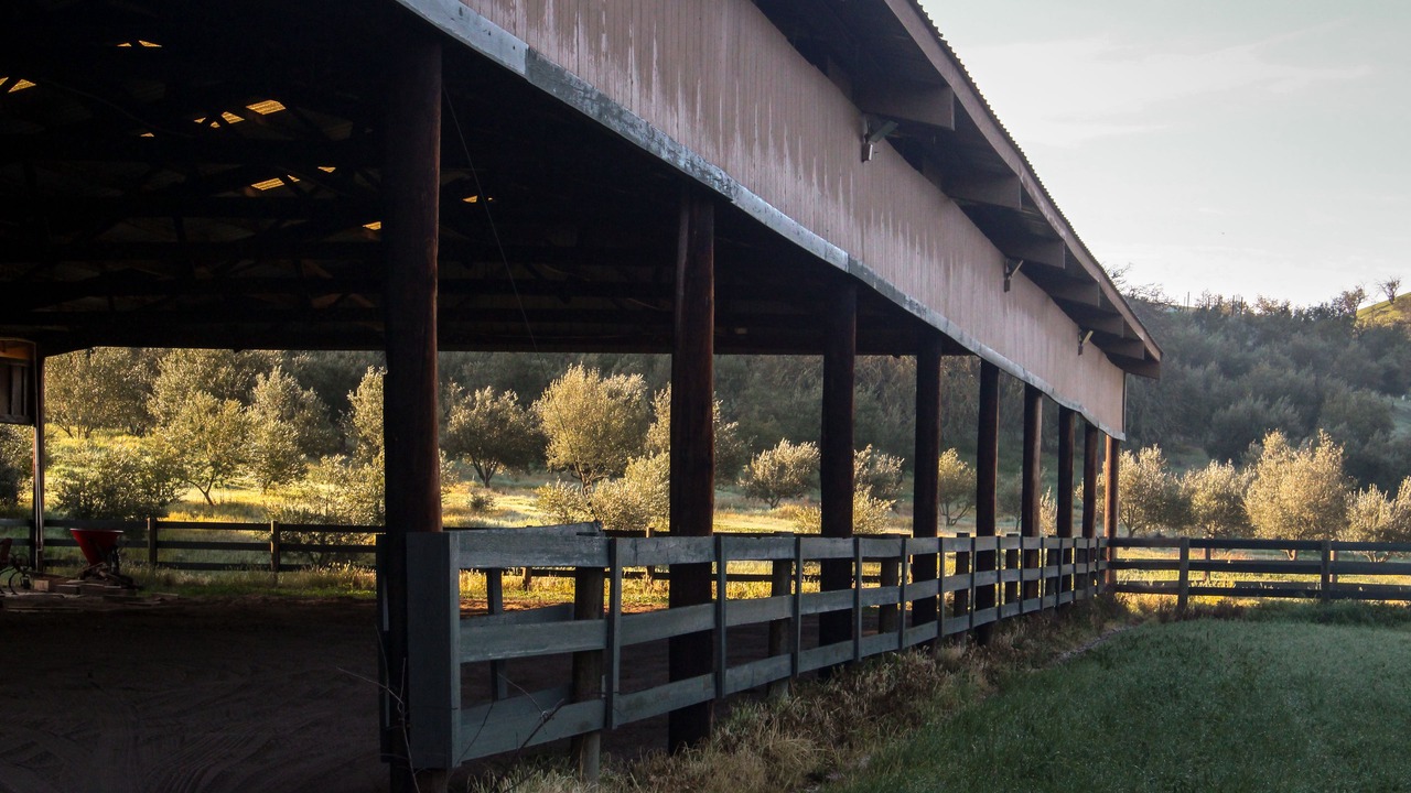 Photo of Outdoor in Templeton