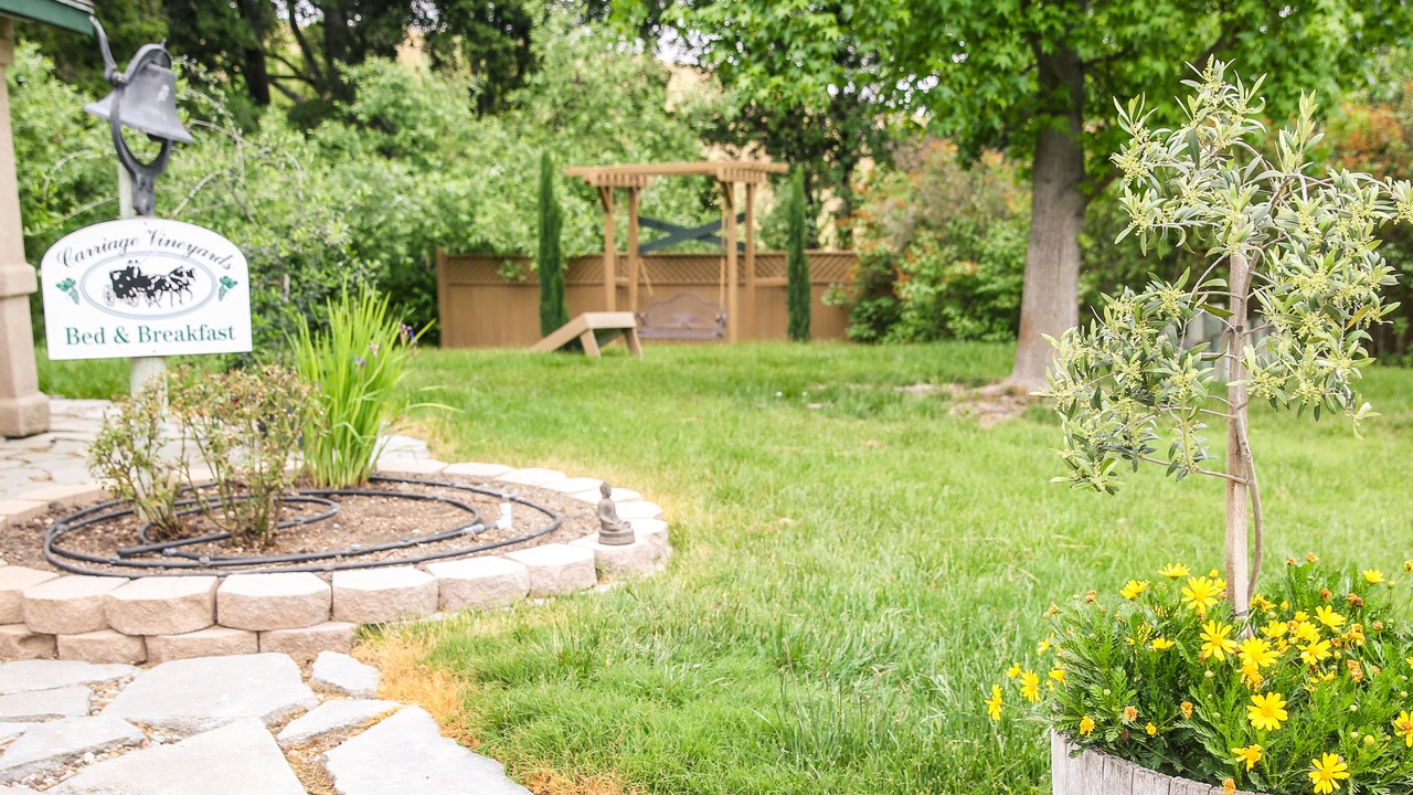 Photo of Outdoor in Templeton