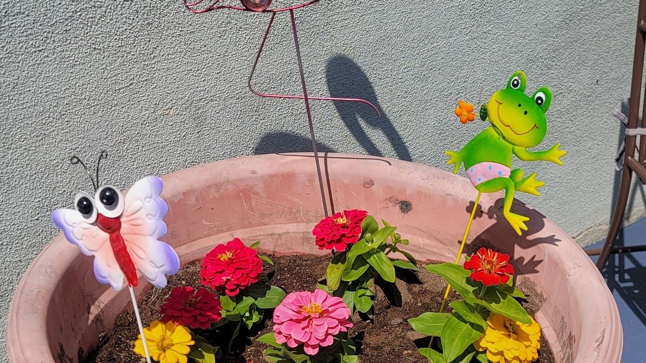 Photo of Outdoor in Downtown