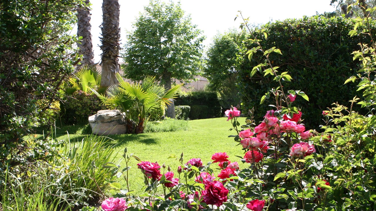 Photo of Outdoor in Paso Robles