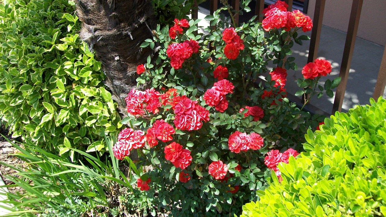 Photo of Outdoor in Paso Robles