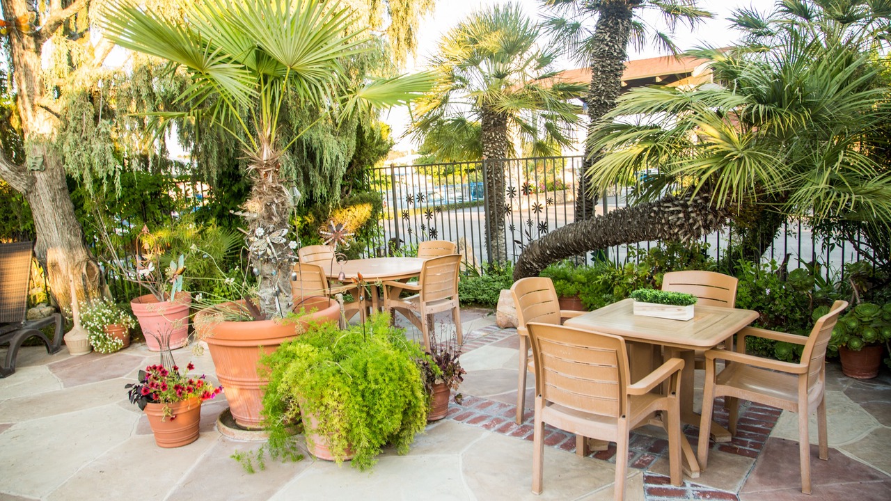 Photo of Outdoor in Paso Robles
