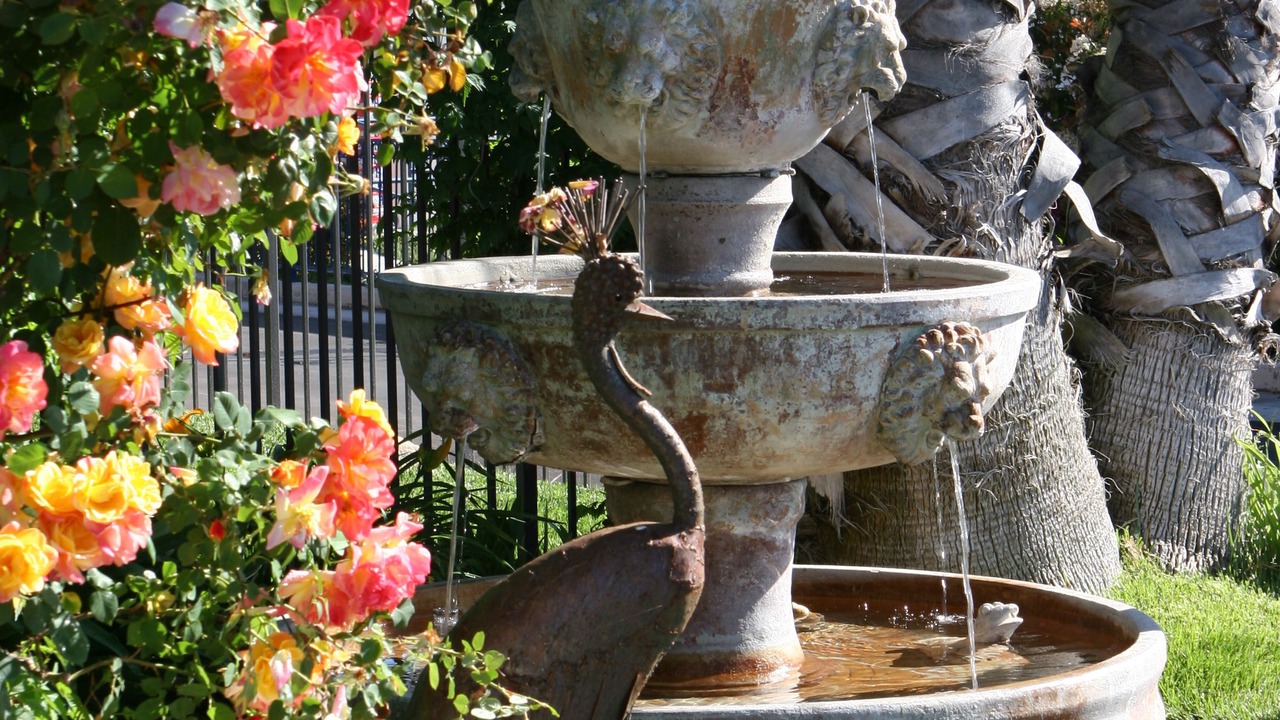 Photo of Outdoor in Paso Robles