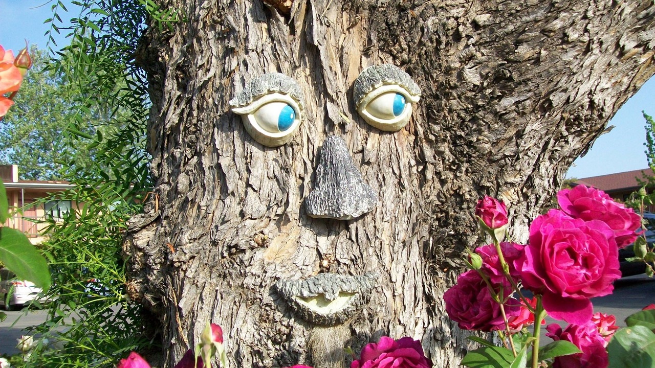 Photo of Outdoor in Paso Robles