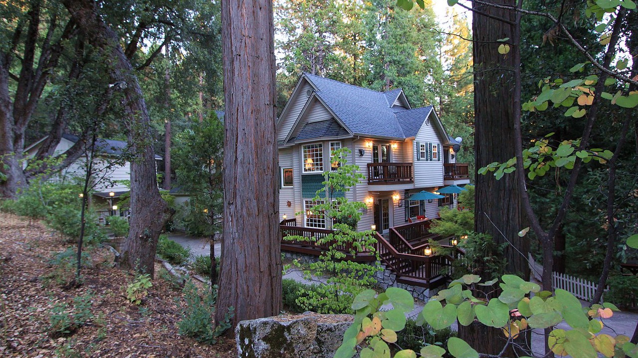 Photo of Outdoor in Twain Harte